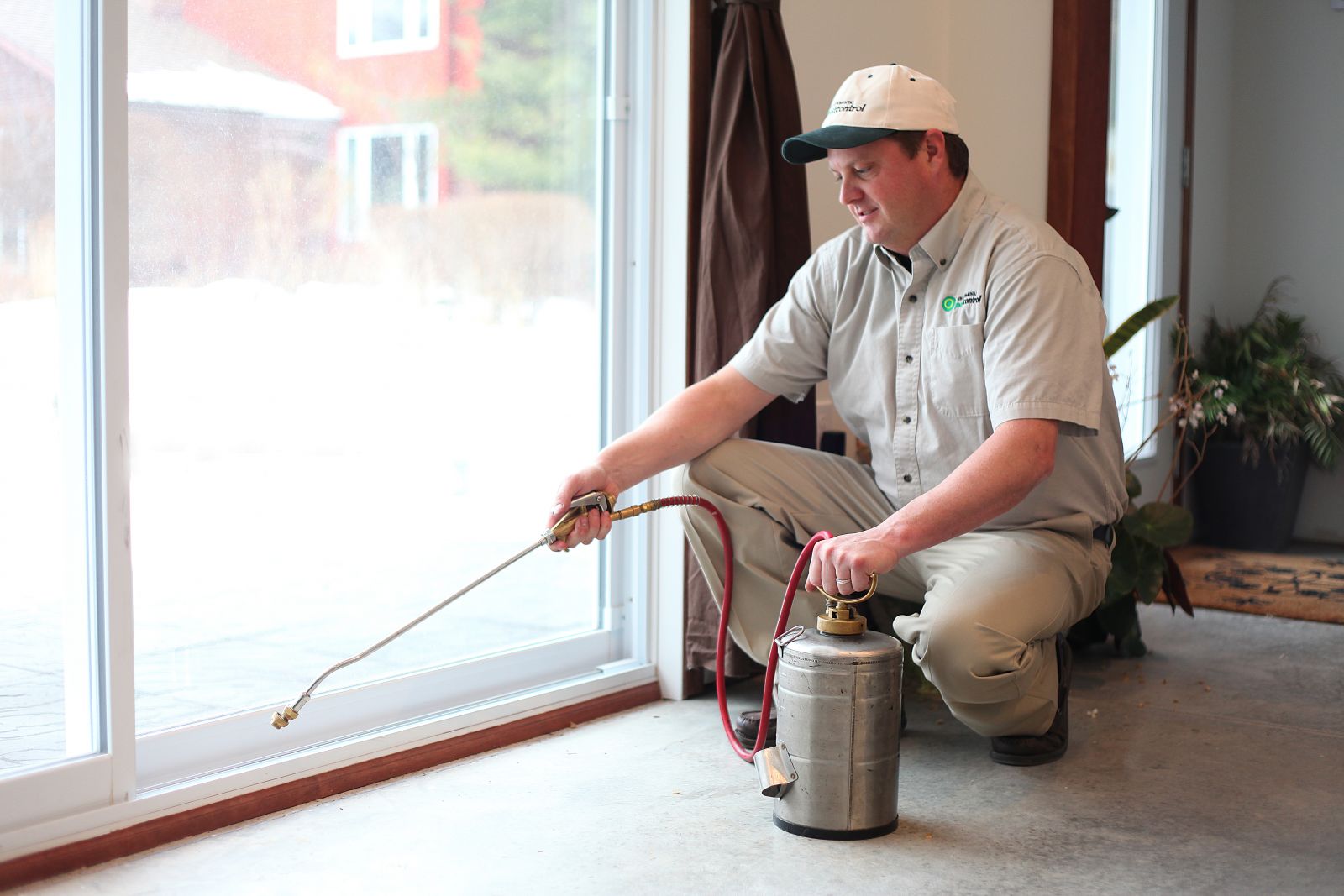 Pests Be Gone: Effective Pest Control Methods for Every Situation