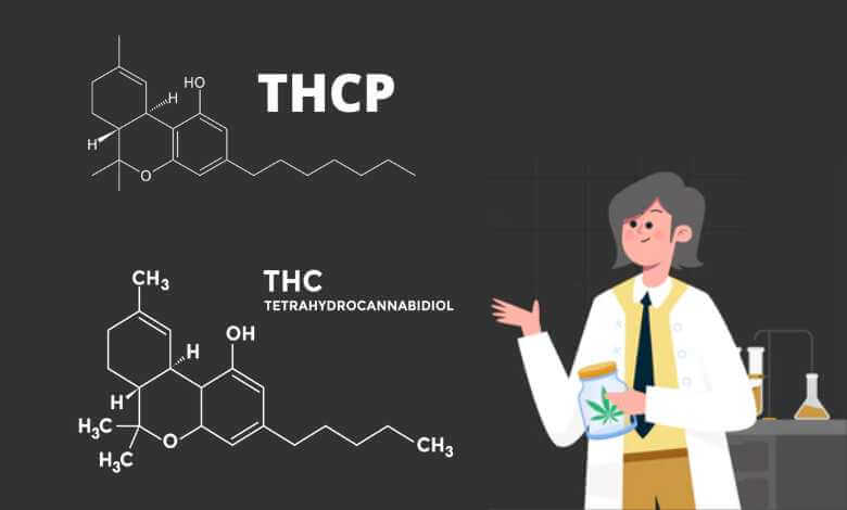 THCP vs THC: Insights from Exhale Wellness